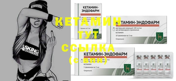 мдпв Новозыбков