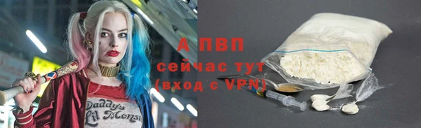 мдпв Новозыбков