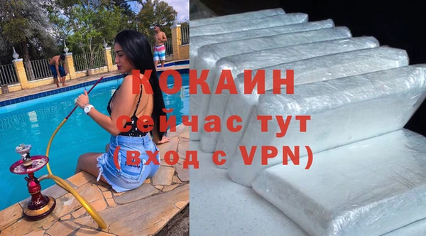 мдпв Новозыбков