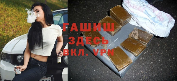 мдпв Новозыбков