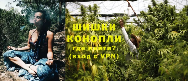 мдма Новодвинск