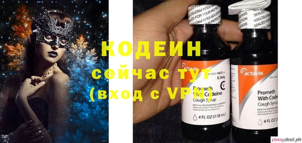 мдпв Новозыбков