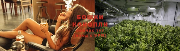 мдпв Новозыбков